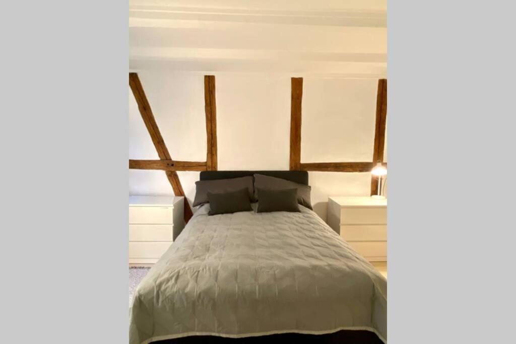 Luxury 'Kings Garden' City-Flat In Center Of Town Apartment Kopenhagen Bagian luar foto